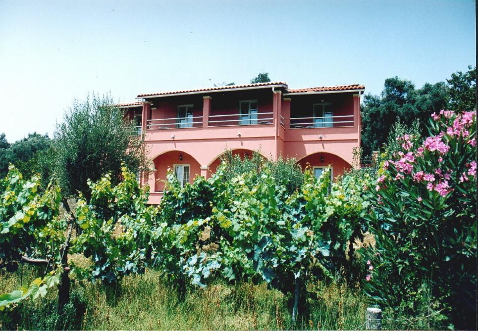 Kogeros Appartement Agios Georgios Pagon Buitenkant foto